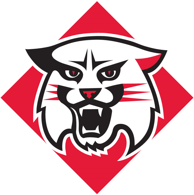 Davidson Wildcats logos iron-ons